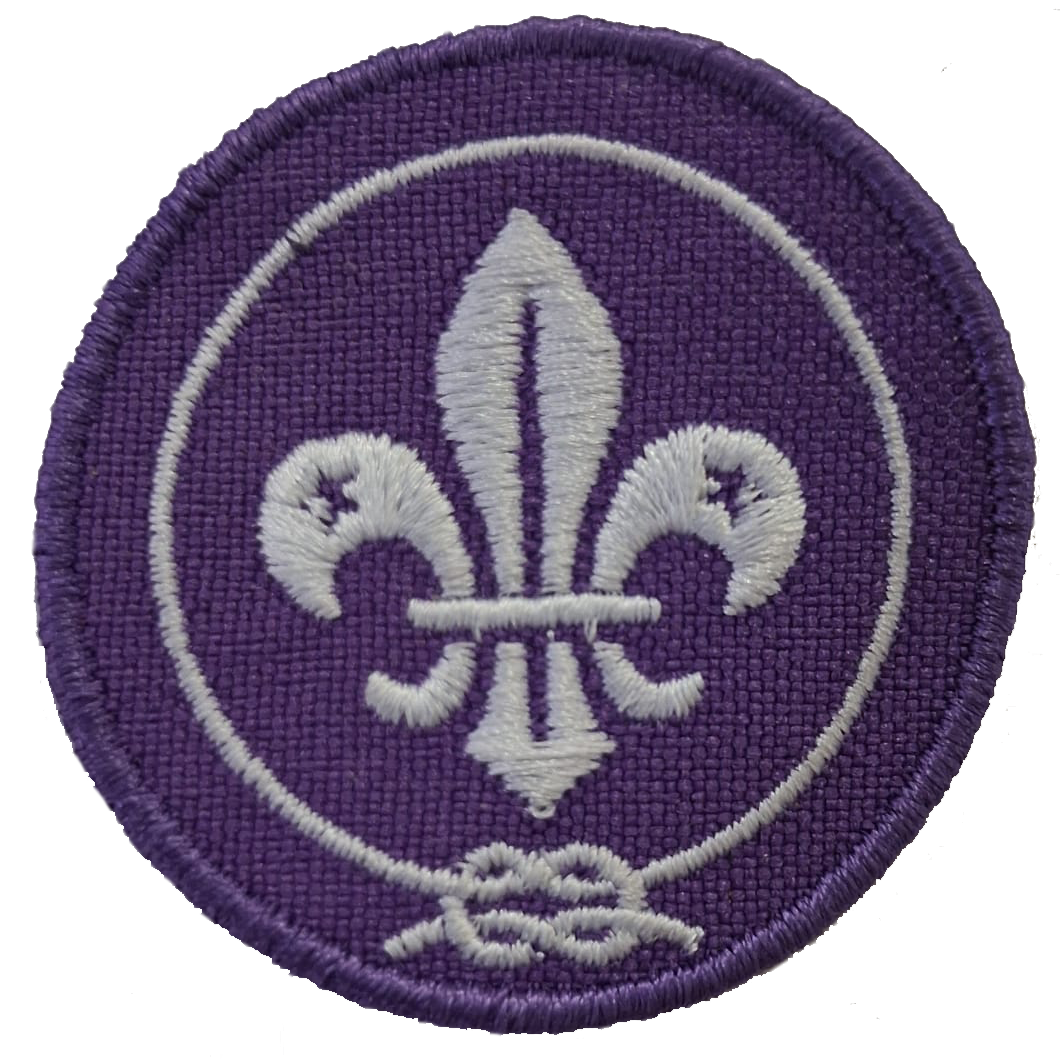 World Scout Badge - small