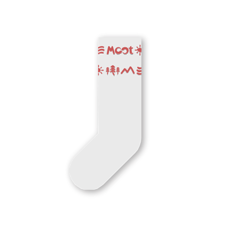 Socks Moot 2025