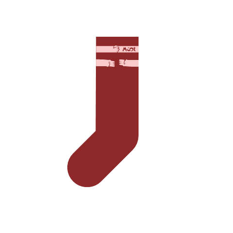 Socks Moot 2025