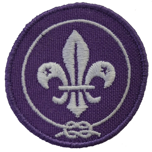World Scout Badge - small