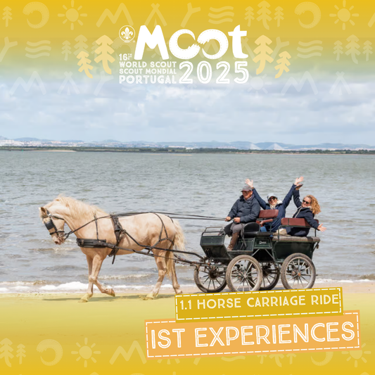 Horse Carriage Ride - Experience
